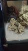 IMG_20170219_201603631.jpg