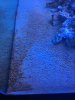 IMG_8156.JPG