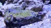20170407_230448_1491620746368.jpg