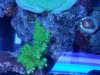 20170520_215025.jpg