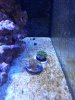 20170802_185140.jpg