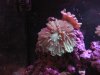 IMG_7641.JPG