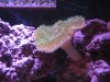IMG_7649.JPG