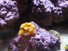 20170818_190641.jpg