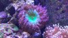 20170904_142946.jpg