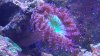 20170904_142938.jpg