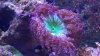 20170904_142929.jpg