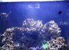20171113_161226.jpg