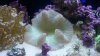 20171110_112007.jpg