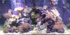 AA174973-46CF-4655-B2A8-8055CB9CBC73.jpeg