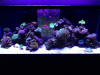 fts2.png