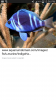 Screenshot_2018-06-18-12-36-40.png
