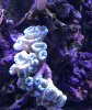 D99B7602-A6DE-4107-AEFE-9CC8C528ACB6.jpeg