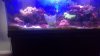 WIN_20190720_18_54_34_Pro.jpg