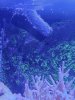 20240301_075739.jpg