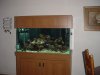 fish-fan-albums-new-120-setup-thanksgiving-2008-picture1204-dsc00140.jpg