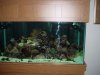 fish-fan-albums-new-120-setup-thanksgiving-2008-picture1205-dsc00141.jpg