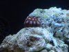 DSC04508.jpg