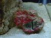 DSC04510.jpg