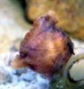 DSC00374-1.jpg