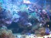 100_7737.JPG
