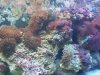100_7747.JPG