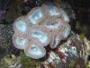 DSC04011.JPG