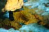 corys 037.jpg