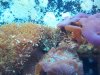 100_7764.JPG