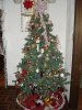 DSC04041.JPG