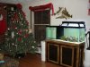 DSC04054.JPG