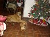 DSC04056.JPG
