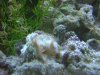 DSCN0494.JPG