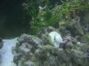 DSCN0508.JPG