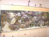 my fish.jpg