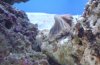 DSC00267.JPG