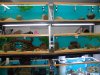 DSC03475.JPG