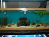 DSC03477.JPG