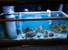 DSC03476.JPG