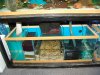 DSC03479.JPG