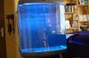 Aquarium 003.jpg