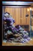 Aquarium 010.jpg