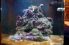 Aquarium 015.jpg