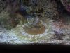 DSC07154.JPG