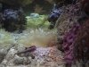 DSC07155.JPG