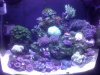 reef - 12-26 023.JPG