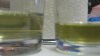 clear MC dec2708 305.jpg