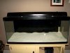 DSC01276.JPG