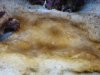 DSC02307.JPG