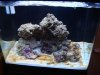 DSC02306.JPG